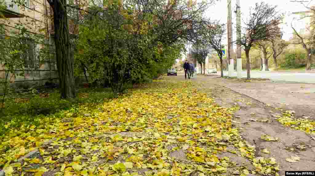 Тротуары желтеют опавшей листвой